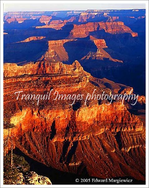 450425---Grand Canyon view 2